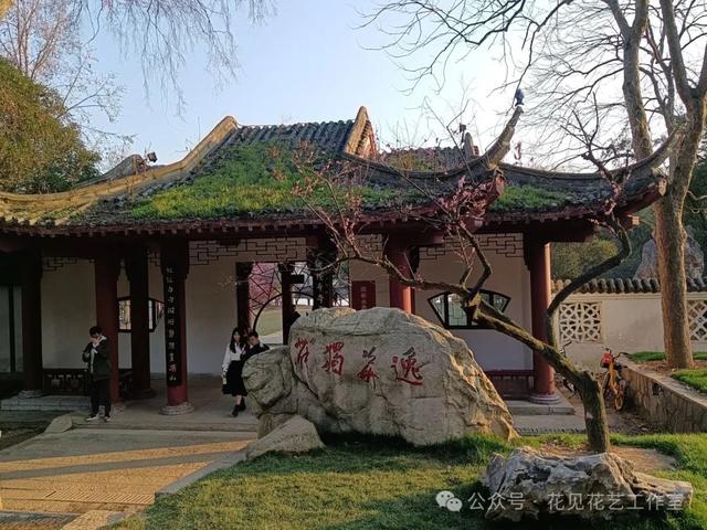 跟着花开赏古建-梅花与梅文化馆的千年对话-3.jpg