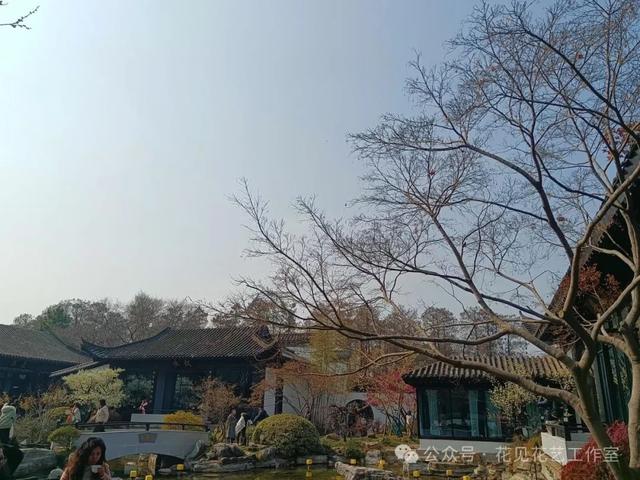 跟着花开赏古建-梅花与梅文化馆的千年对话-7.jpg