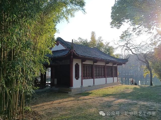 跟着花开赏古建-梅花与梅文化馆的千年对话-5.jpg