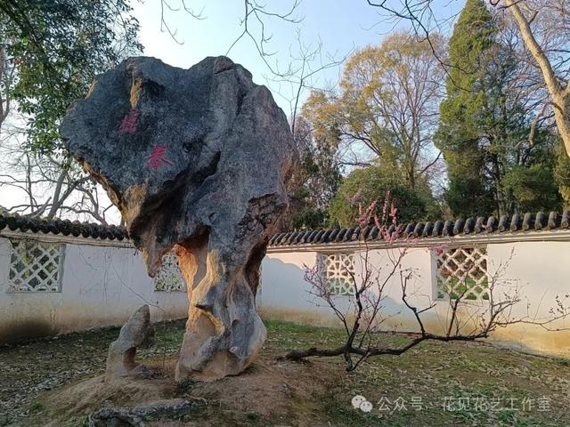 跟着花开赏古建-梅花与梅文化馆的千年对话-4.jpg