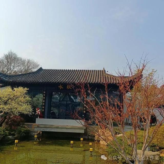 跟着花开赏古建-梅花与梅文化馆的千年对话-8.jpg