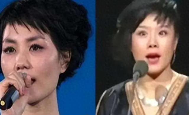 离婚原因曝光！背刺王菲的龚琳娜，早在综艺里埋下日后苦果！-1.jpg