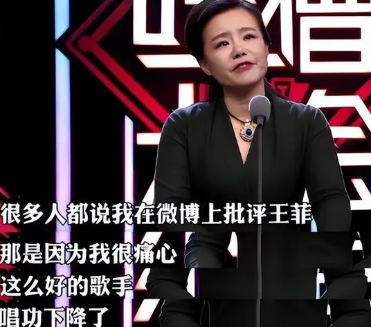 离婚原因曝光！背刺王菲的龚琳娜，早在综艺里埋下日后苦果！-3.jpg