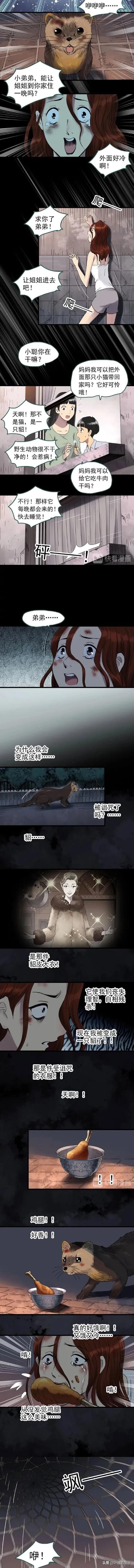 人性漫画:《貂皮大衣》一夜之间变成貂的女人-8.jpg