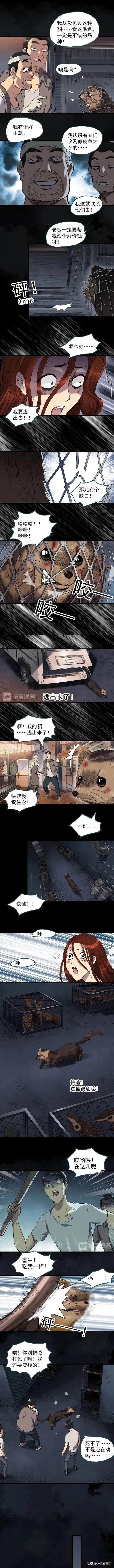 人性漫画:《貂皮大衣》一夜之间变成貂的女人-10.jpg