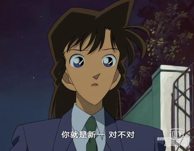 盘点新兰恋爱简史与小兰六次怀疑柯南实录-14.jpg
