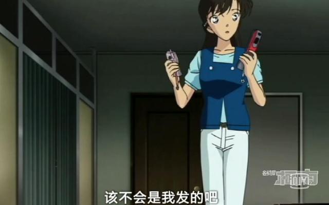 盘点新兰恋爱简史与小兰六次怀疑柯南实录-22.jpg