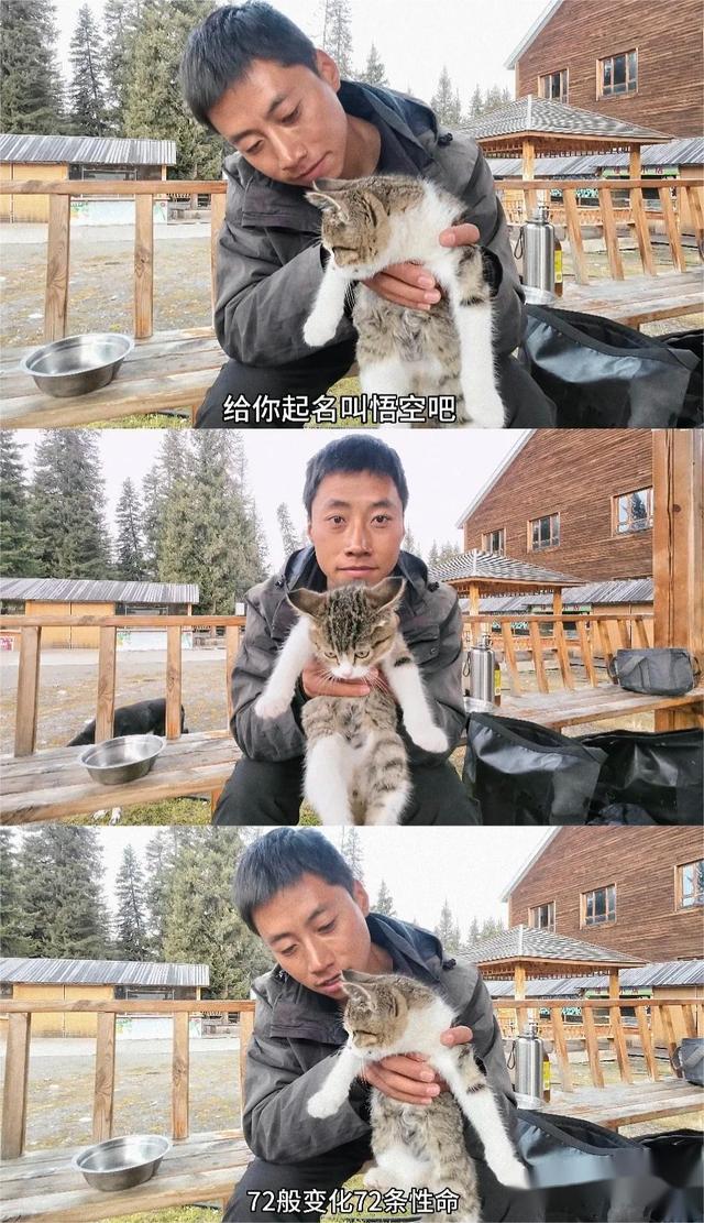 风雪西行路：一只叫“悟空”的流浪猫如何叩开千万人的心扉-2.jpg