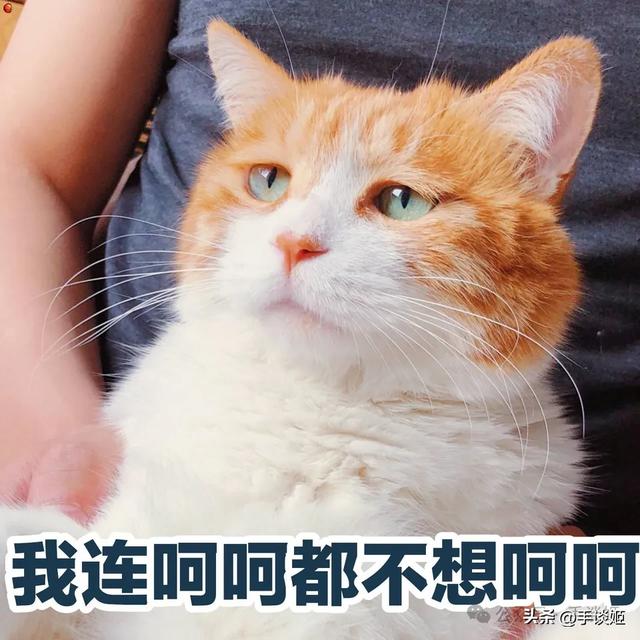 如果ACGN有耻辱柱，那这几位都是柱子上闪耀的挂件-7.jpg