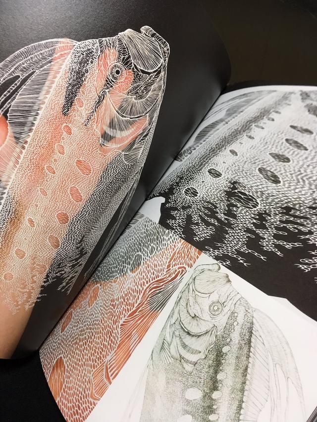 日本作者控诉：我的剪纸作品在印度被抄袭，还用于国家级颁奖典礼-8.jpg