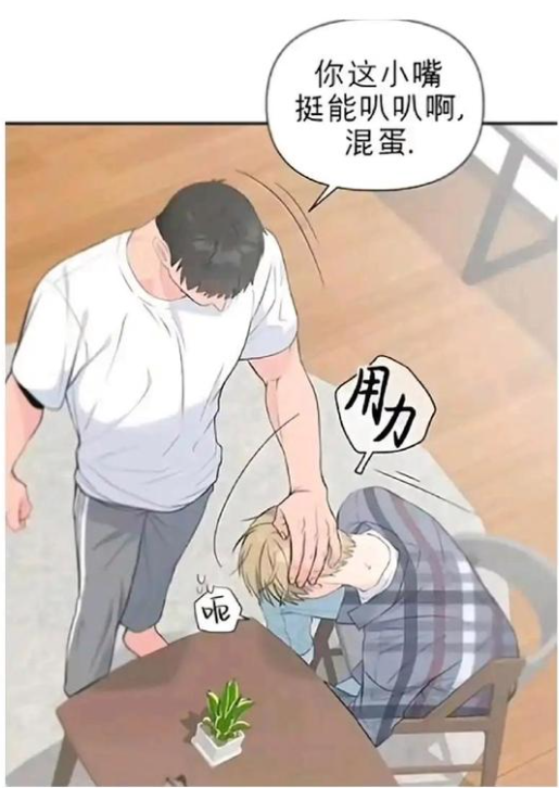“建议禁止东北人进汉化组”又一次上热搜？真就看一下笑一次-5.jpg