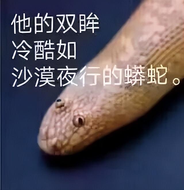 到底什么人会在漫画软件里找陪聊？-33.jpg