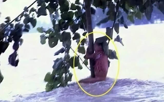 1998年特大洪水中，6岁女孩抱树坚持9小时后获救，如今她怎样了？-7.jpg