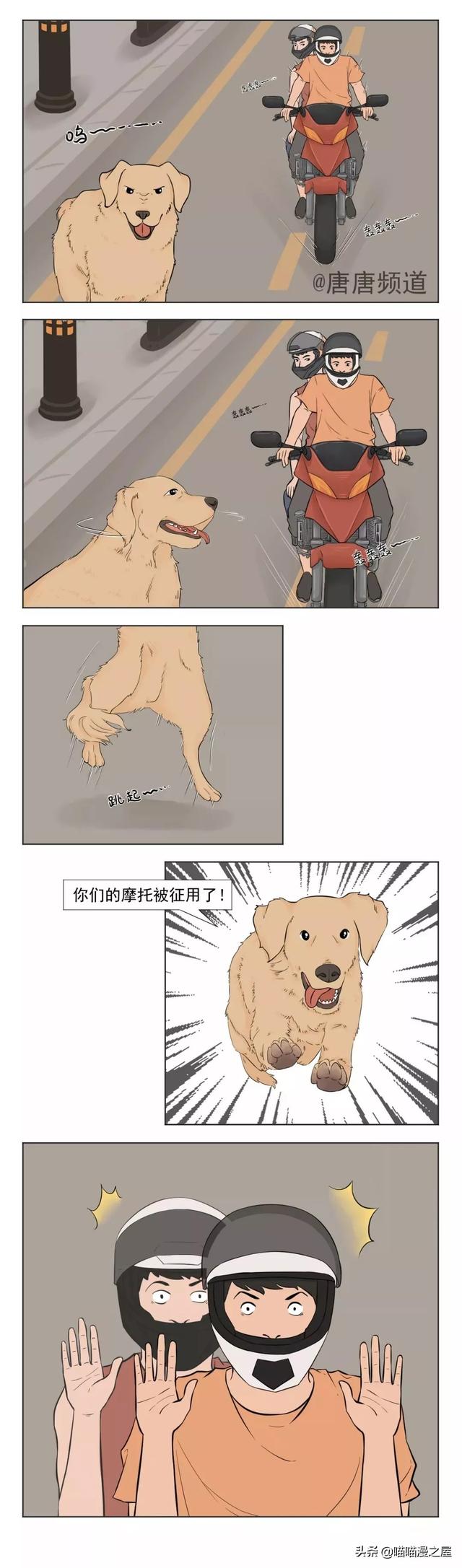 漫画《警犬》不要看小你身边的每一只狗-2.jpg