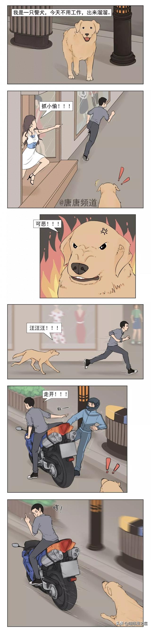 漫画《警犬》不要看小你身边的每一只狗-1.jpg