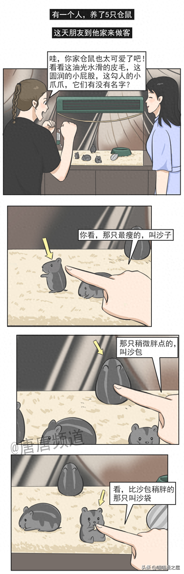 一只名叫沙雕的仓鼠-1.jpg