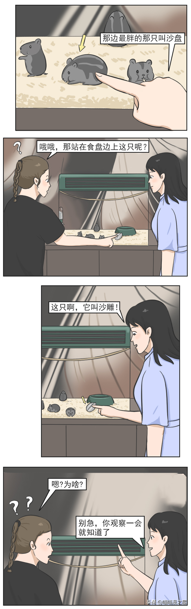 一只名叫沙雕的仓鼠-2.jpg