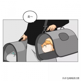 一篇有魔法、有味道的漫画，过年回家路上的趣事