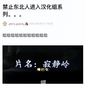“建议禁止东北人进汉化组”又一次上热搜？真就看一下笑一次