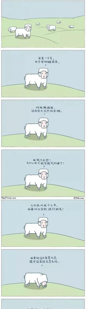 一波搞笑小漫画