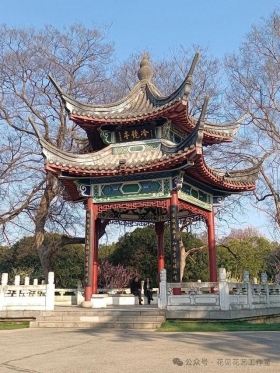 跟着花开赏古建-梅花与梅文化馆的千年对话