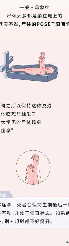 不正经科普漫画《尸体》，学会了但是没见过尸体