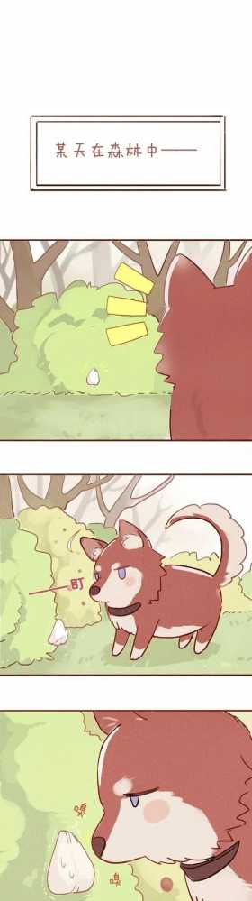漫画：这么可爱的兔纸，我也想要~