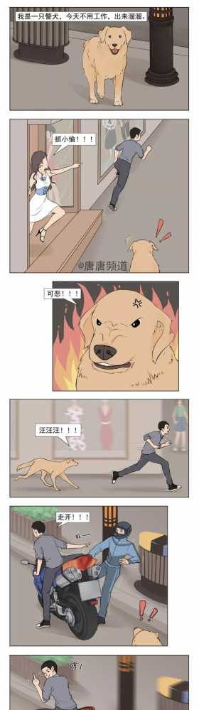 漫画《警犬》不要看小你身边的每一只狗