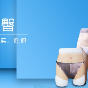 假阴系列